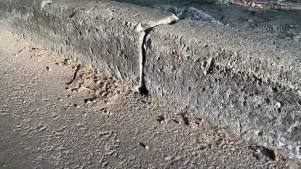 Guêpes Entrant Sortant Leur Nid Par Trou Entre Les Blocs — Video