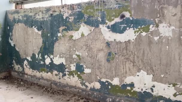 Betonmauer Schmutzig Grunge Grauen Muster Hintergrund Zementwand Vintage Ton Mit — Stockvideo