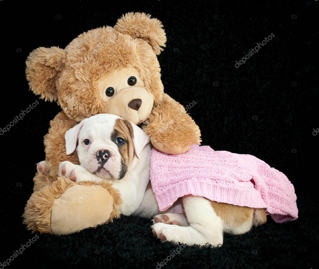 Precious Friends Stock Photo By C Jstaley401