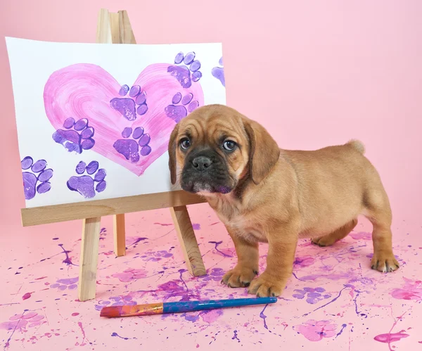 Paw Prints op je hart — Stockfoto