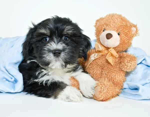 Bed Time — Stock Photo, Image