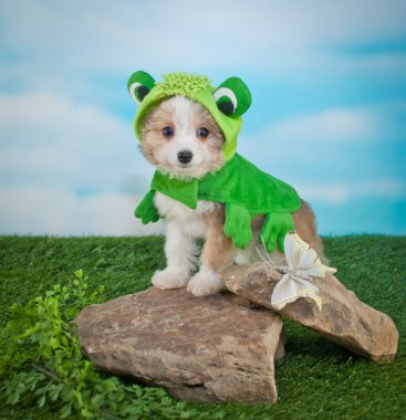 Frogger Puppy clipart
