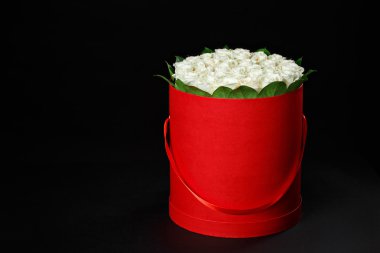 White roses in a round red gift box on black background, studio 