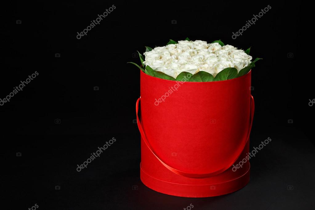 Romantic white roses in a round red gift box to place the logo on black background, studio shooting,spring is coming,international women's day