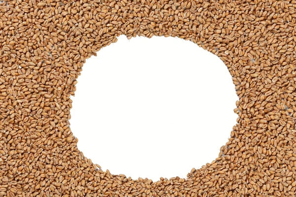 Крупный план Pale Pilsener Malt Grains. Ингредиент для пива. Фон текстуры. Идеально подходит для рекламы. Фоновое изображение. Пустое место для текста — стоковое фото