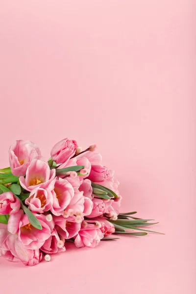 Ramo de tulipanes rosados sobre fondo rosa —  Fotos de Stock