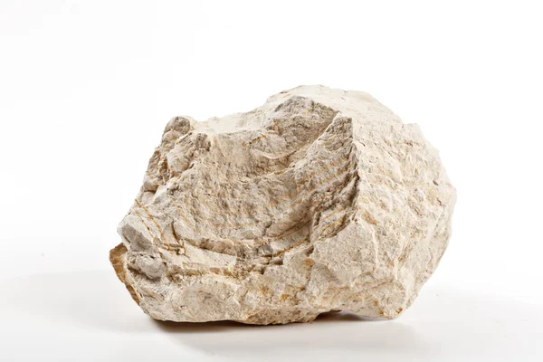 Piece of diatomite - diatomadeous earth — Stock Image Piece of diatomite - diatomadeous earth Stock Image