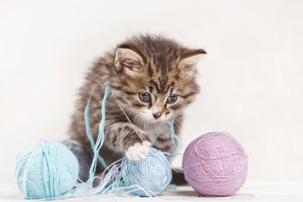 Gatinho bonito jogando com bola de fio — Fotografia de Stock