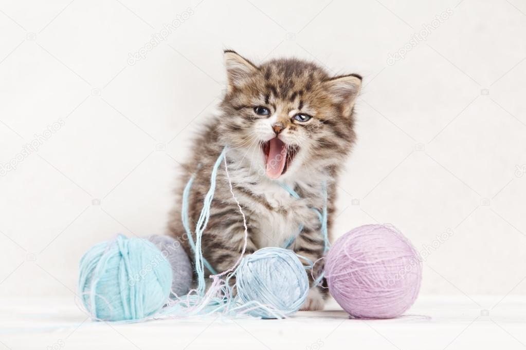 pretty kitten playing with yarn ball and gaping