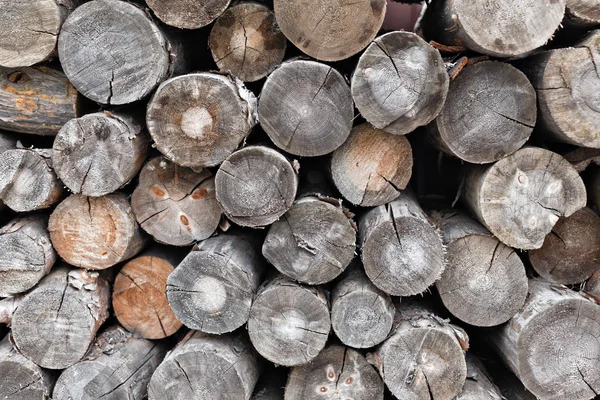 Pile of cut tree trunks and logs with concentric year wooden rings. Dry chopped firewood logs stacked up on top of each other