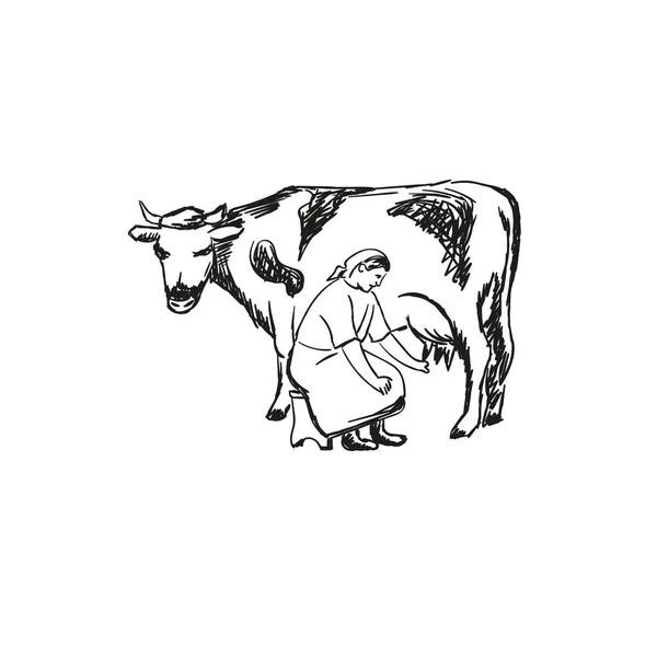 Farmer Milking Her Cow Vector Illustration Hand Drawn — Stock Vector