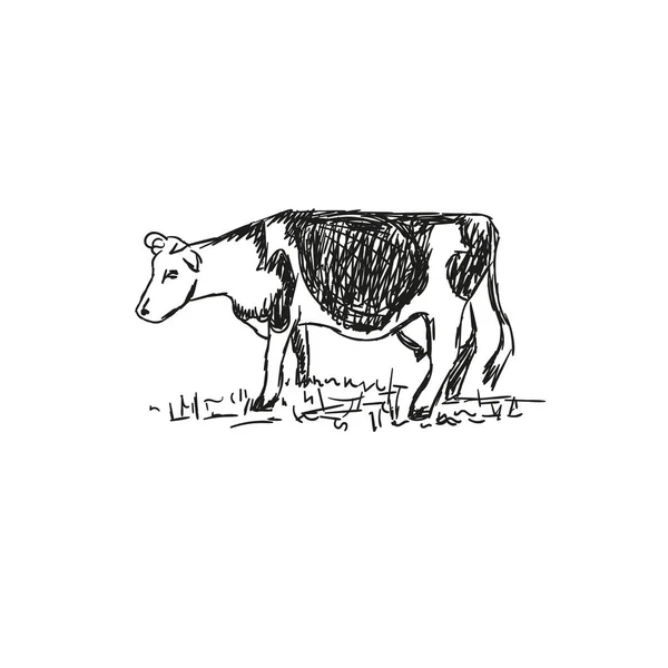 Vacas Pastando Prado Ilustración Dibujada Mano — Archivo Imágenes Vectoriales