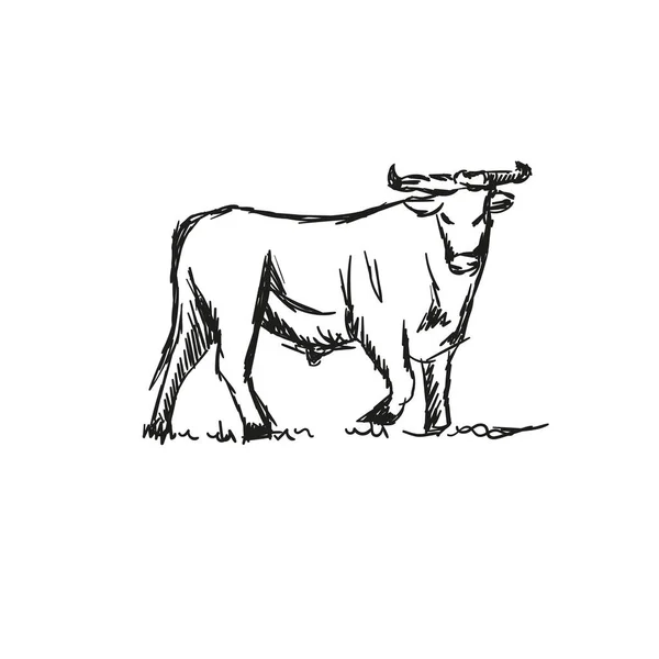 Estampado Elegante Grabado Toro Mano Dibujada Ilustración Vectorial — Archivo Imágenes Vectoriales