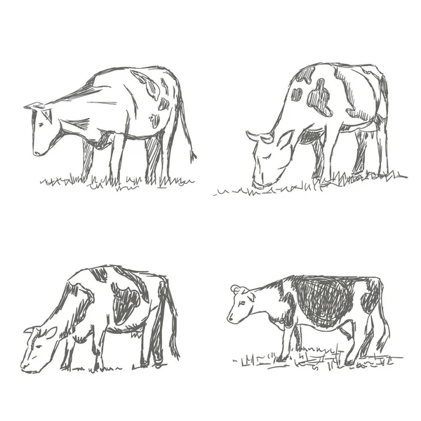 Cows Grazing Meadow Hand Drawn Illustration Set — Stock Vector