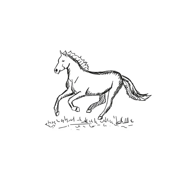 Vetor Dois Mão Desenhado Doodle Esboço Cavalo Isolado Fundo Branco — Vetor de Stock