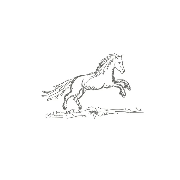 Caballos Dibujados Mano Ilustración Vectorial Boceto — Vector de stock