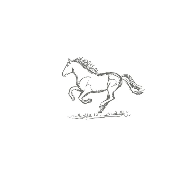 Handgezeichnete Pferde Vektorillustration Skizze — Stockvektor