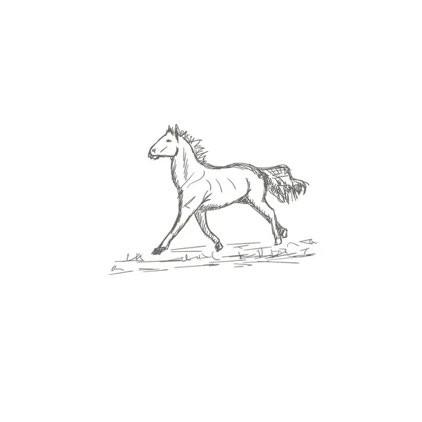 Handgezeichnete Pferde Vektorillustration Skizze — Stockvektor