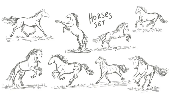 Ensemble Chevaux Dessinés Main Illustration Vectorielle Croquis — Image vectorielle