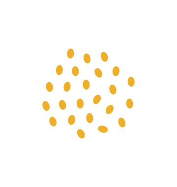 Çilek tohumları. Beyaz arkaplanda tohumlar.