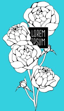 güzel çiçek arka plan sanat