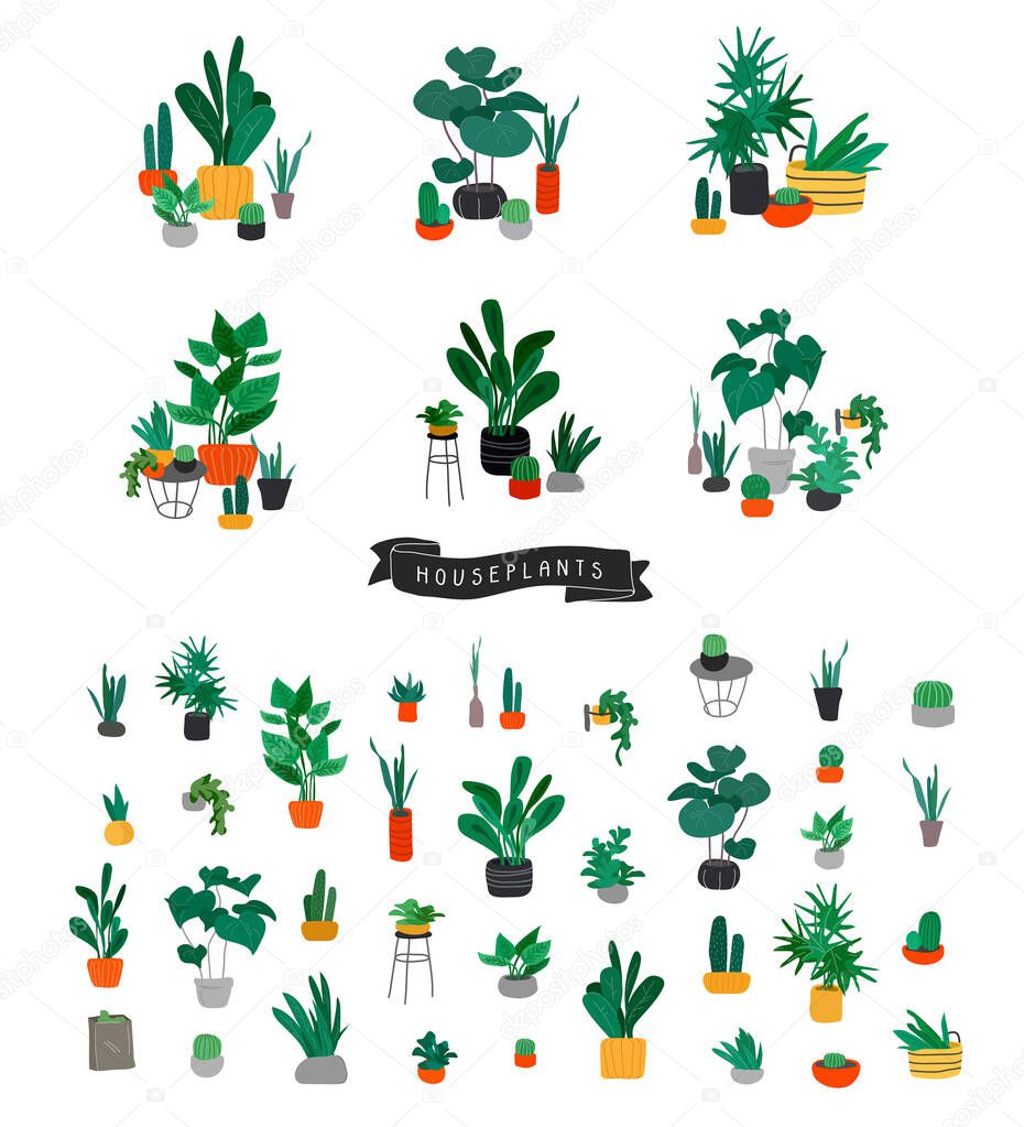 Potted plants collection. Urban jungle, trendy home decor with plants, cactus, tropical leaves. Set of house indoor plant vector hand drawn cartoon