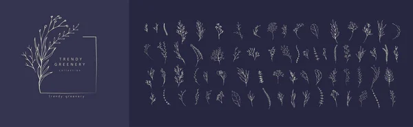 Цветочная ветвь. Ручной рисунок свадебной травы, домашняя страница с элегантными листьями для приглашения сохранить дизайн карты даты. Ботанический рустик — стоковый вектор