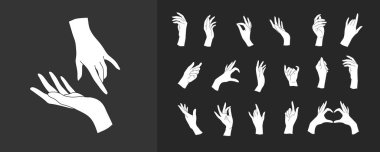 Bir dizi Vektör kadın güzellik elleri silueti. Düzenlenebilir vuruş boyutu. Düz çizgi, ince ve doğrusal tasarım. Basit ikonlar. Resim kavramını göster.