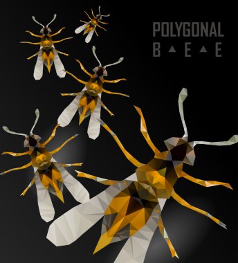 Arı beyazı izole etti.