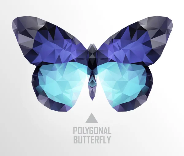 Color butterfly flying — Stock Vector
