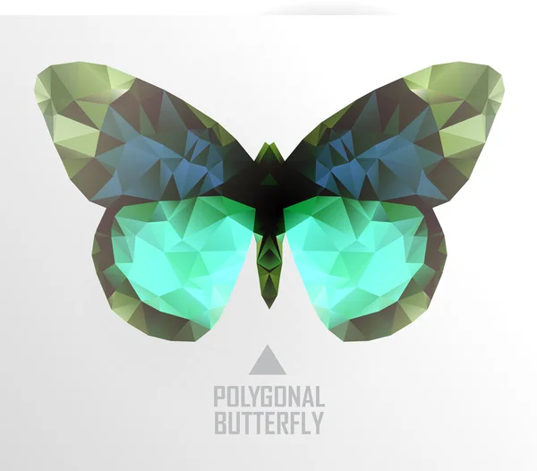 Color butterfly flying — Stock Vector