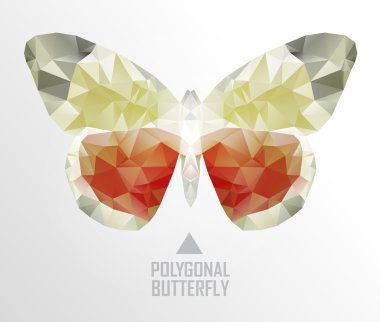 İpten kelebek uçan