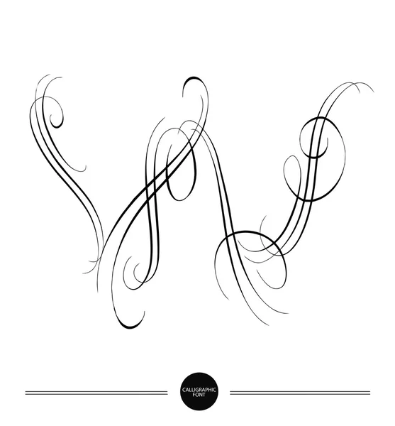 カリグラフィの文字。抽象的なフォント — ストックベクタ