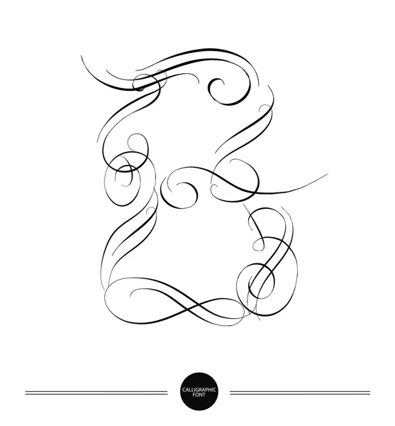 カリグラフィの文字。抽象的なフォント — ストックベクタ
