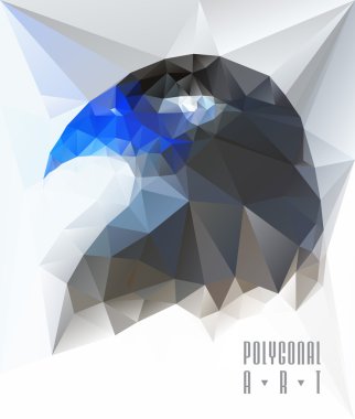 Uğur böceği çokgen