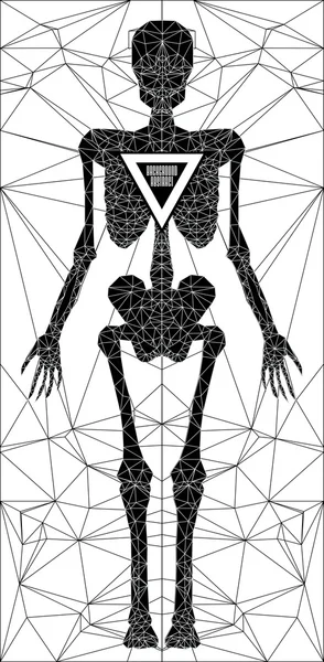 Abstracte veelhoekige skelet — Stockvector