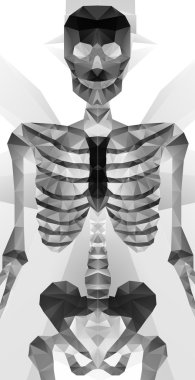 Poligonal modern öğeleri