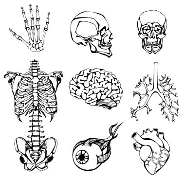  bir iç kişinin kümesi