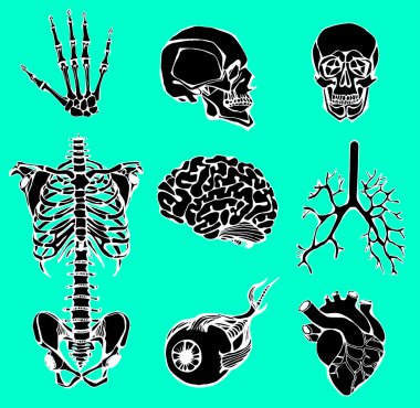  bir iç kişinin kümesi