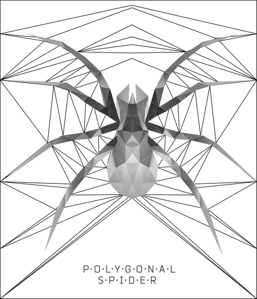 Araña poligonal. Ilustración geométrica — Vector de stock