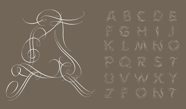 Kaligrafi alfabe. Tasarım öğeleri — Stok Vektör