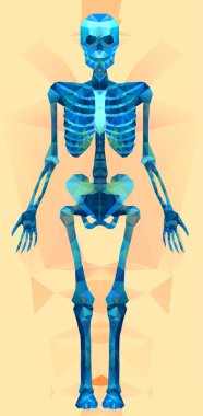 Poligonal modern öğeleri