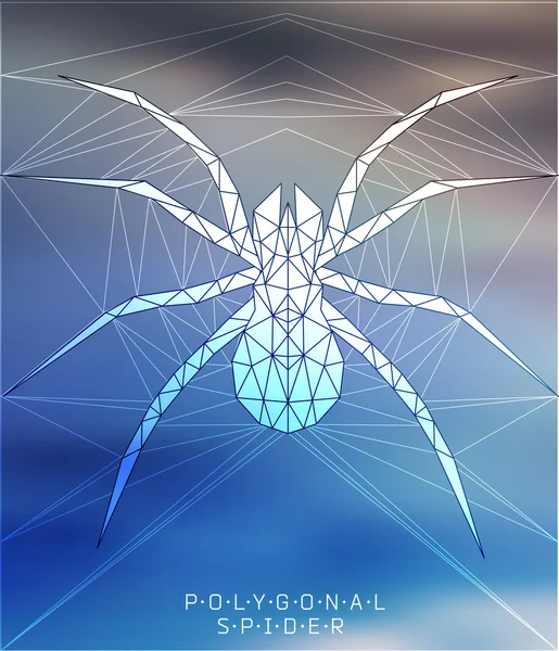 Araña poligonal. Ilustración geométrica — Vector de stock