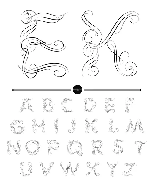 Kalligrafisches Alphabet. Designelemente — Stockvektor