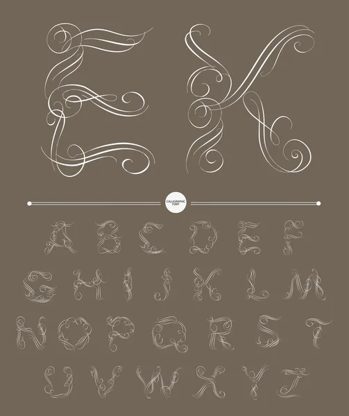 Kalligrafisches Alphabet. Designelemente — Stockvektor