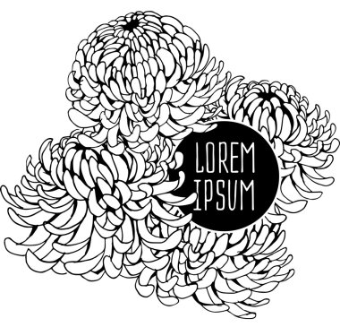 güzel çiçek arka plan sanat