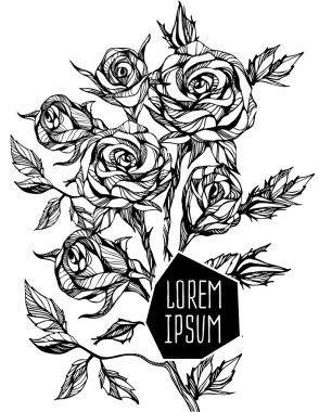 güzel çiçek arka plan sanat