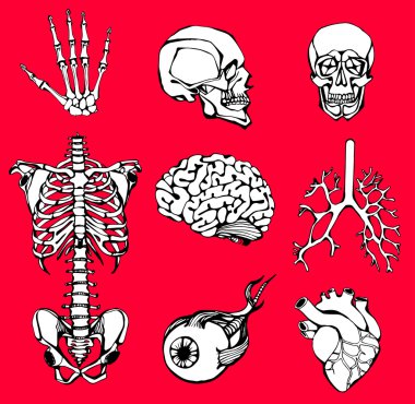  dahili bir kişi kümesi