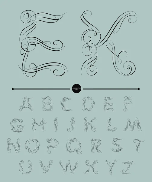 Calligraphic alphabet. Design elements — Stock Vector