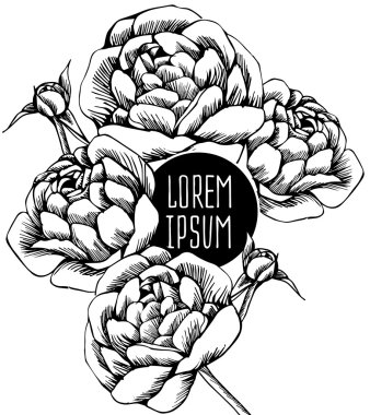 güzel çiçek arka plan sanat